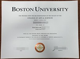 Boston University Credentials
