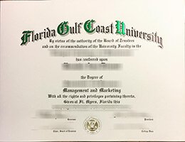 Florida Gulf Coast University Credentials