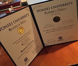 Yonsei University Credentials