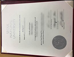 Seoul National University Credentials