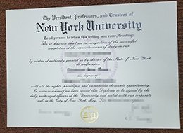 New York University Credentials