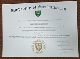 University of Saskatchewan Qualification