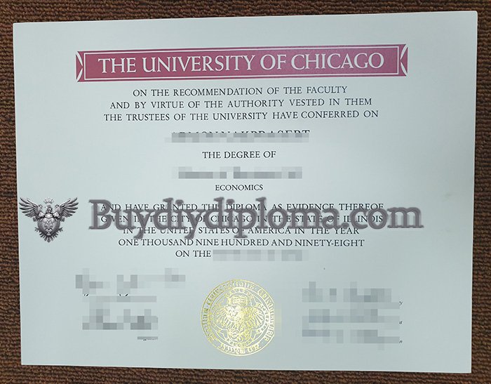 Novelty University of Chicago Qualification online?