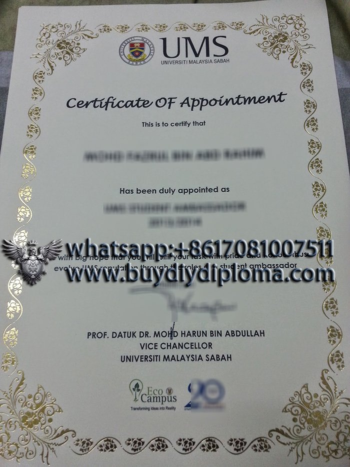 Novelty Universiti Malaysia Sabah Qualification