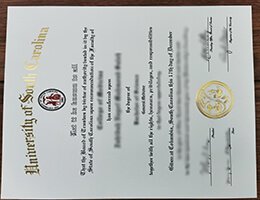 University of South Carolina Novelty Credentials