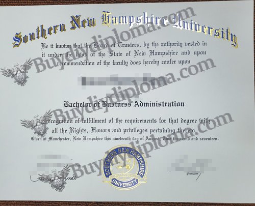 Novelty Southern New Hampshier University Credentials, Novelty SNHU Credentials