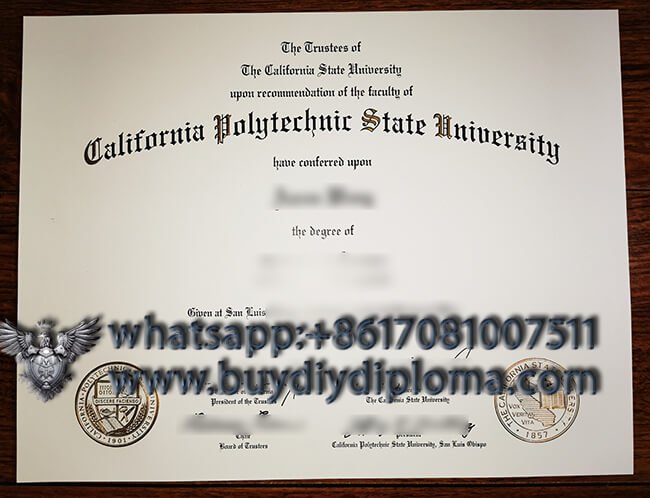 California Polytechnic State University Credentials sample, Get Novelty Qualification from USA.