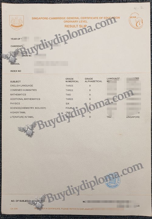 Singapore Academic record