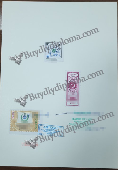 Novelty Credentials stamp