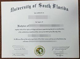 University of South Florida Credentials