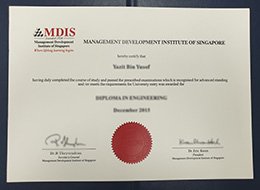 Management Development Institute of Singapore Qualification