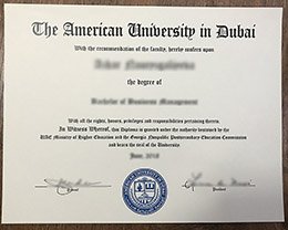American University in Dubai Credentials, Novelty AUD Credentials, Novelty Dubai Credentials,