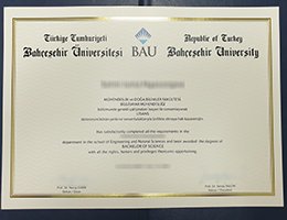 BAU University Novelty Credentials