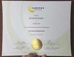 CAMOSUN COLLEGE Novelty Credentials