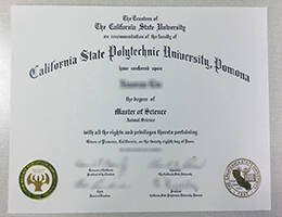 California state polytechnic university Pomona Novelty Credentials