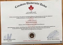Novelty Canadian University Dubai Credentials, Novelty CUD Credentials, Novelty Dubai Credentials,