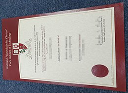 Cork Institute Of Technology Credentials