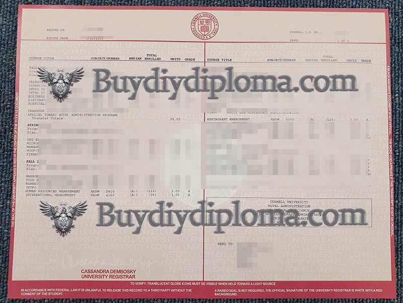 how to get Novelty Credentials best Novelty Qualification duke Credentials Novelty driving licence uk Get Novelty Cornell University Academic record