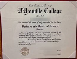 D Youville college Novelty Credentials