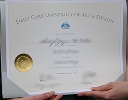 Emily Carr University Credentials