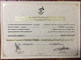 Novelty Emirates Institute for Banking and Financial Studies Credentials, Novelty EIBFS Credentials, Novelty Credentials in banking,