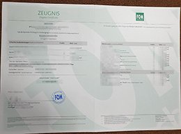 Novelty FOM Hochschule Credentials, Get FOM Hochschule Academic record,