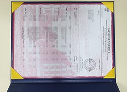 Harvard University Academic record