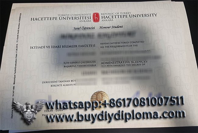 X Ways to get Hacettepe Üniversite Diploması, Get Hacettepe University Credentials