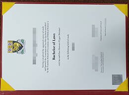 London School of Economics Novelty Qualification