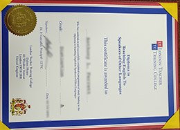 Novelty London Teacher Training College Credentials, Get LTTC Credentials, Novelty teacher Credentials,