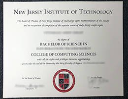 NEW ERSEY INSTITUTE OF TECHNOLOGY Novelty Credentials