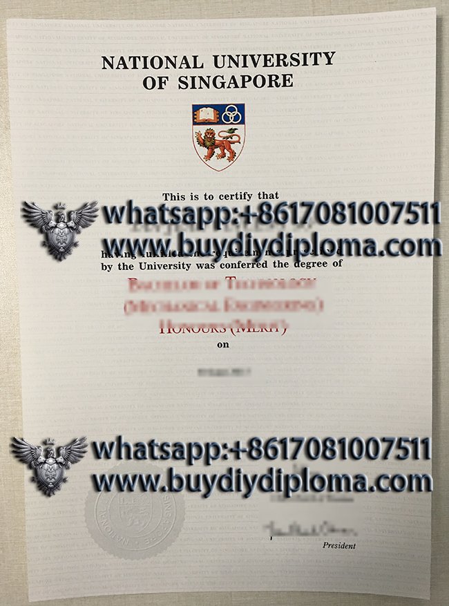 How to Get a Novelty NUS(National University of Singapore) Credentials online