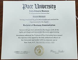 PACE University Novelty Credentials