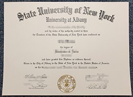 SUNY Albany Qualification