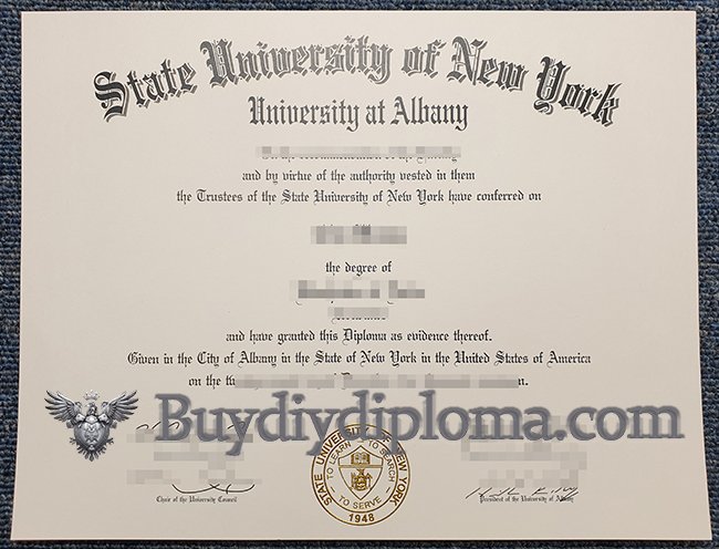 Novelty college Qualification template free Novelty diplomas csusm degrees uchicago Credentials Novelty high school Credentials Credentials what is tef language test Novelty State University of New York at Albany Credentials, Get SUNY Albany Qualification