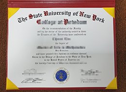 State University of New York Credentials