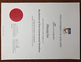 THE UNIVERSITY OF ADELAIDE Novelty Credentials