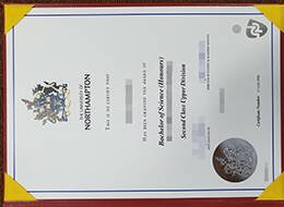 THE UNIVERSITY OF NORTHAMPTON Novelty Qualification (1)