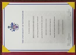 THE UNIVERSITY OF NOTTINGHAM Novelty Qualification