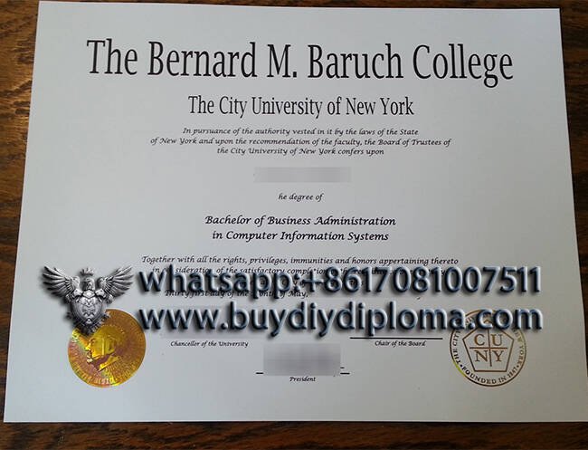 The Bernard M. Baruch College Novelty Credentials