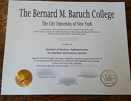 The Bernard M. Baruch College Novelty Credentials