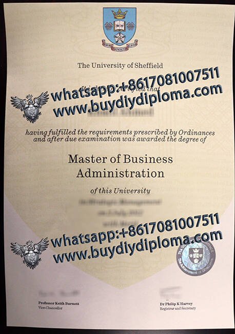 The University of Sheffield Novelty diplomas