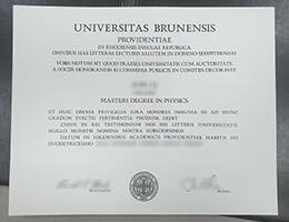 UNIVERSITAS BRUNENSIS Novelty Credentials