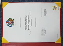 UNIVERSITY OF GREENWICH Novelty Qualification