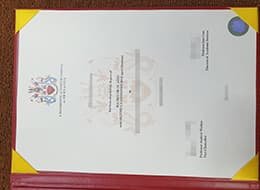 UNIVERSITY of NORTHUMBRIA at NEWCASTLE Novelty Qualification