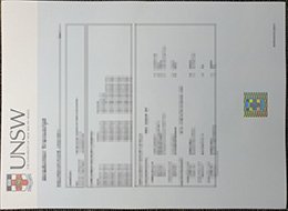 UNSW-Academic record