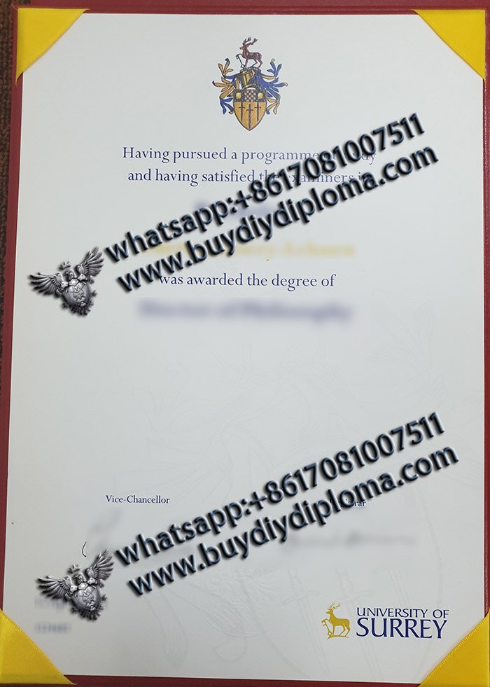 Novelty University of Surrey Qualification in UK