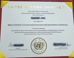Novelty United Nations University Credentials, Get United Nations University Qualification