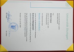 Novelty University of Stuttgart Credentials, Novelty University of Stuttgart Qualification,