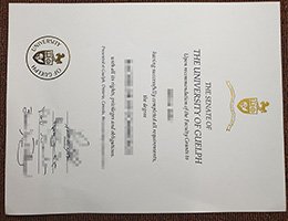 Novelty University of Guelph Credentials, Novelty University of Guelph Qualification